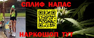 стаф Тверь