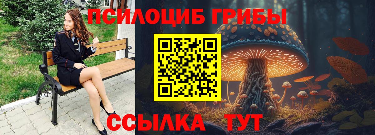Черногорск  Псилоцибиновые грибы прущие грибы  наркотики  Вход с VPN  Псилоцибиновые грибы Psilocybe 