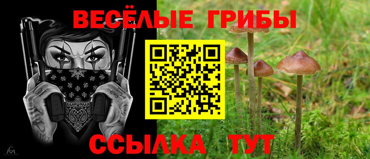 Галлюциногенные грибы GOLDEN TEACHER Черногорск